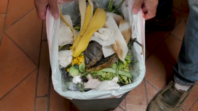 Best Construction Debris Removal  in Billington Heights, NY